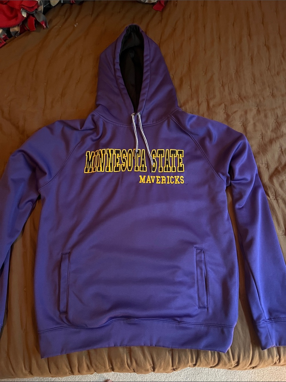 Colosseum Purple Minnesota State Mavericks Hoodie with Gold Lettering